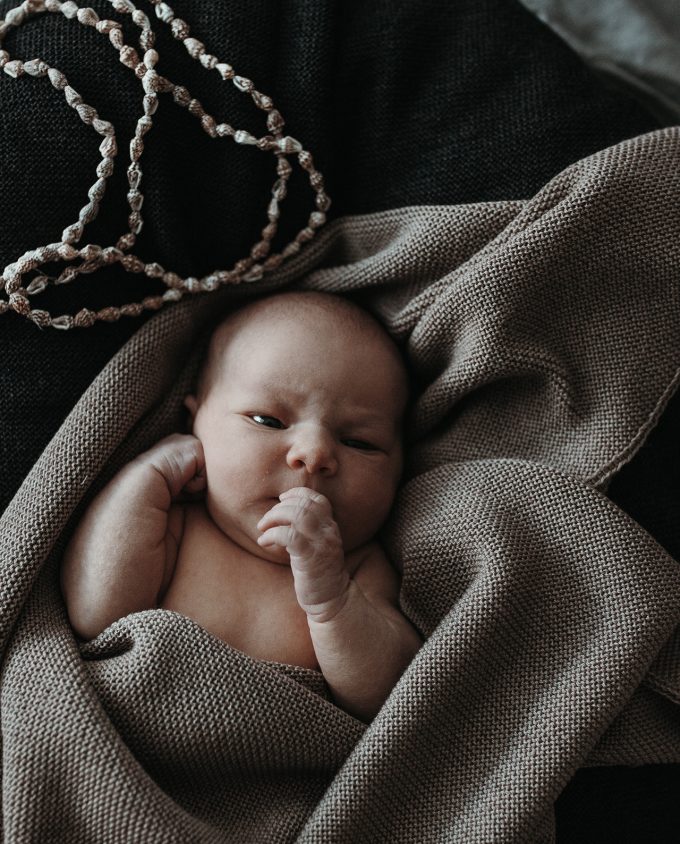 Merino Blanket - Hazelnut